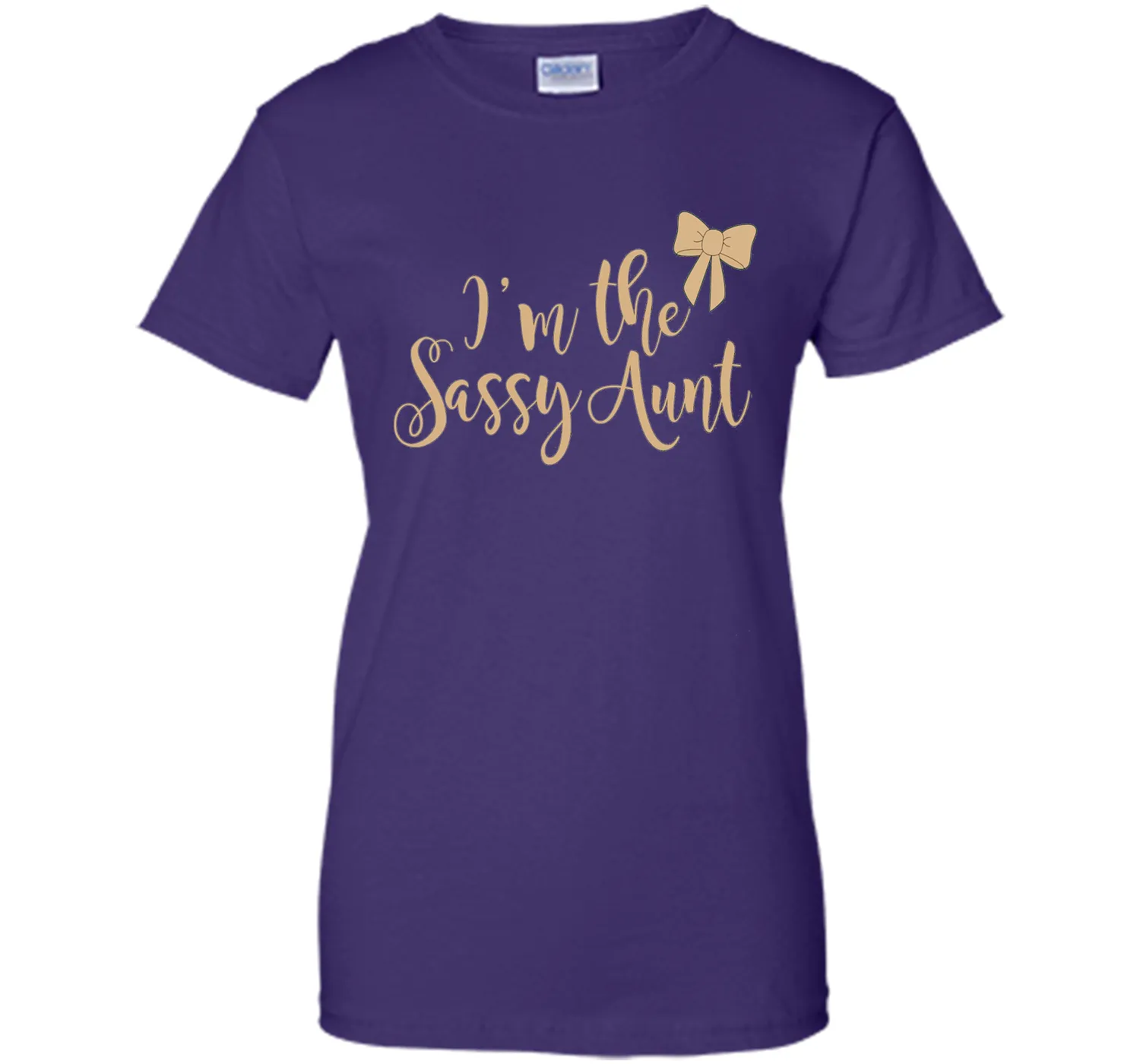 I'm the sassy aunt T shirt - Best gift for Aunt Auntie