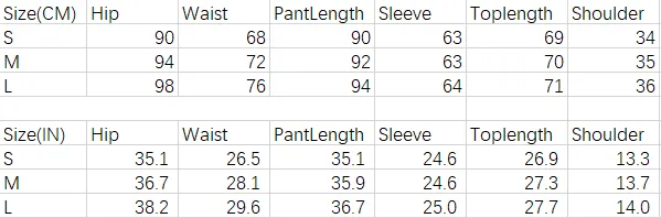 Print Mesh Sheer Bodycon Skinny Long Sleeve Blouse Pants Sets